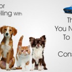 Tips for Travelling with Pets – Things You Need to Plan and Consider